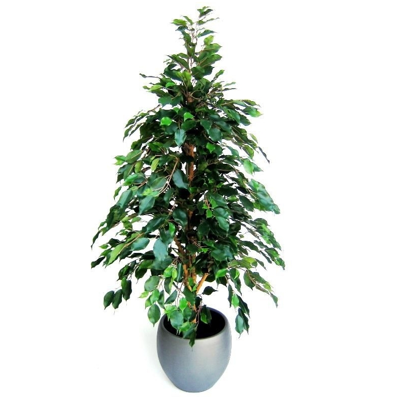 Ficus artificiale Exotica 150 cm