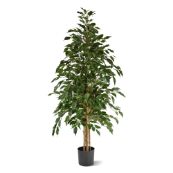 Ficus artificiale Exotica 150 cm