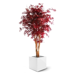 Acer artificiale Borgogna 160 cm