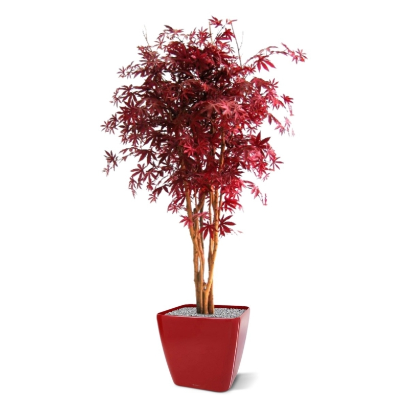 Acer artificiale Borgogna 160 cm
