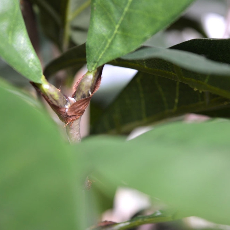 Ficus Cyathistipula deluxe pianta artificiale 120 cm