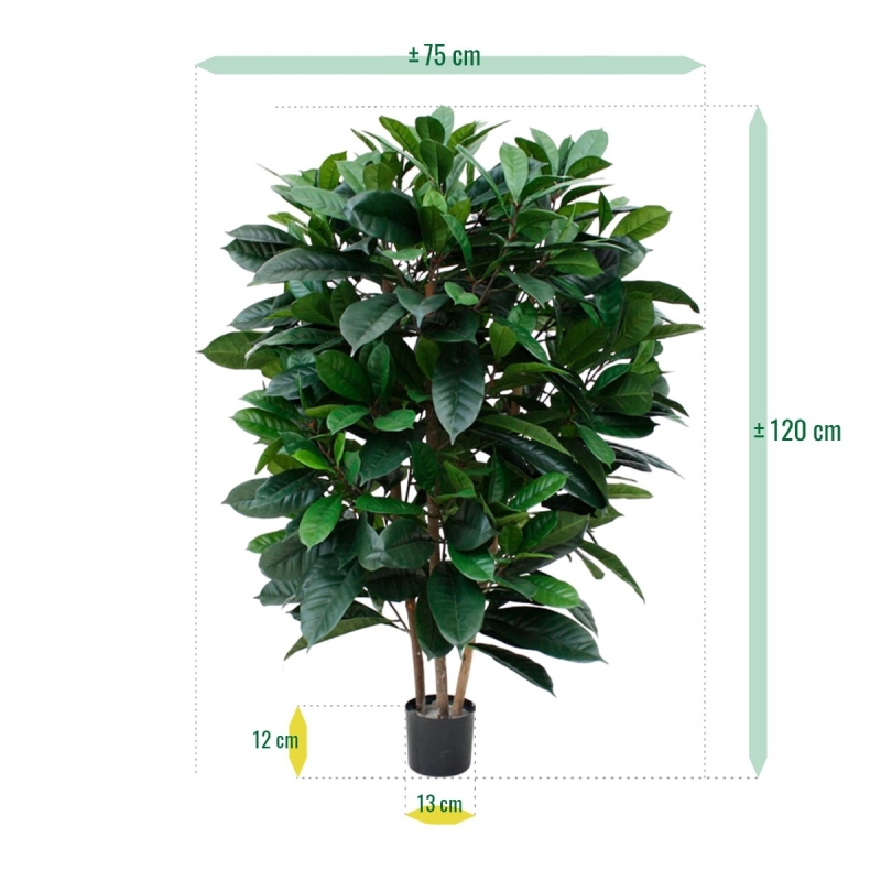 Ficus Cyathistipula deluxe pianta artificiale 120 cm