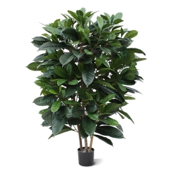 Ficus Cyathistipula deluxe pianta artificiale 120 cm