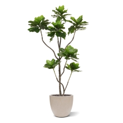 Pianta di Elotropio Artificiale 155cm