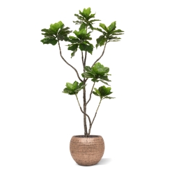 Pianta di Elotropio Artificiale 155cm