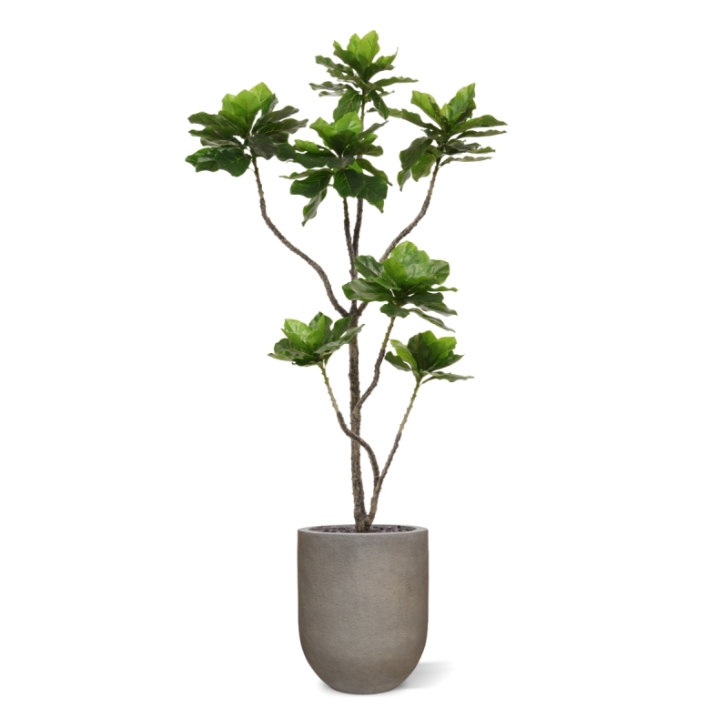 Pianta di Elotropio Artificiale 155cm