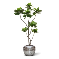 Pianta di Elotropio Artificiale 155cm