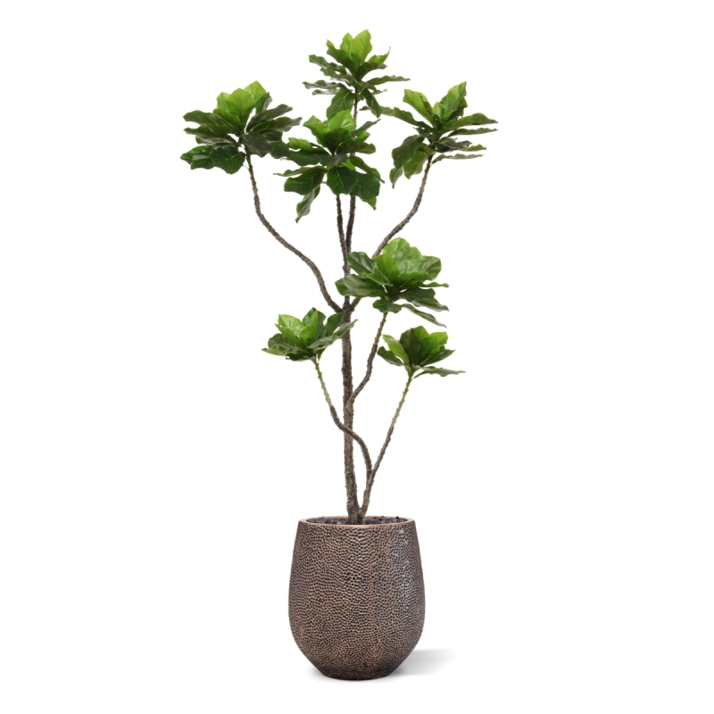 Pianta di Elotropio Artificiale 155cm