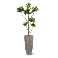 Pianta di Elotropio Artificiale 155cm