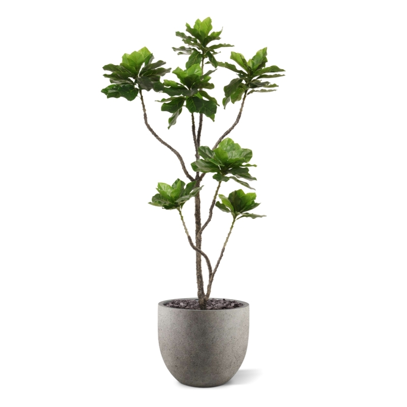 Pianta di Elotropio Artificiale 155cm