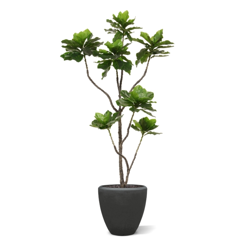 Pianta di Elotropio Artificiale 155cm
