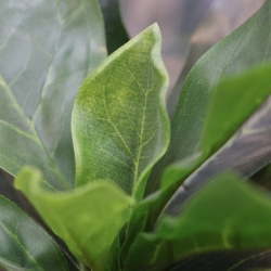 Pianta di Elotropio Artificiale 155cm