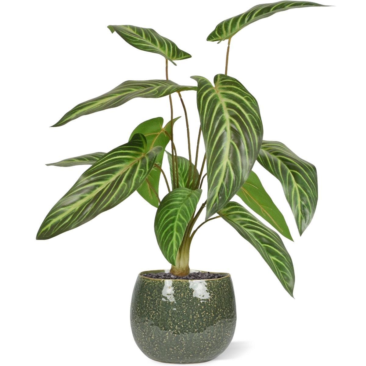 Caladium lindenii pianta artificiale 50cm