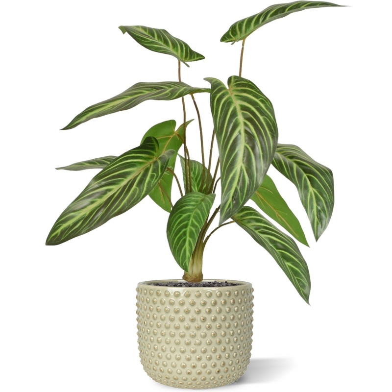 Caladium lindenii pianta artificiale 50cm