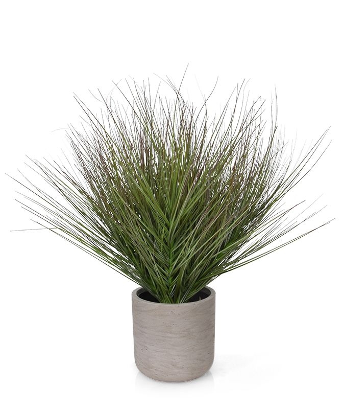 Pianta erbacea artificiale "Wide" 60 cm