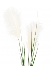 Stelo di erba pampa artificiale 120 cm crema