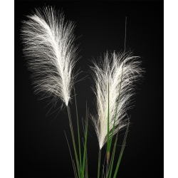 Stelo di erba pampa artificiale 120 cm crema