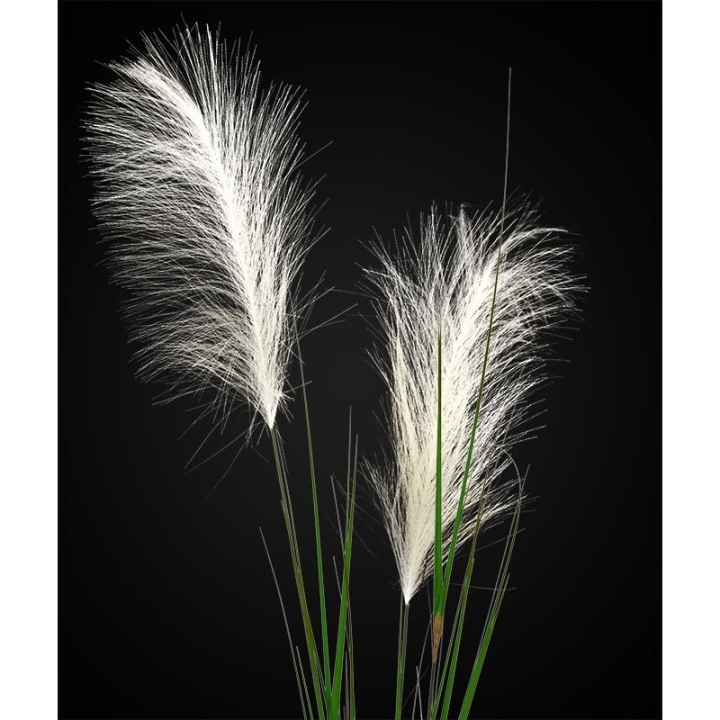 Stelo di erba pampa artificiale 120 cm crema