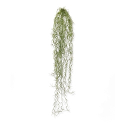 Tillandsia artificiale pendente 75 cm