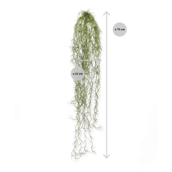 Tillandsia artificiale pendente 75 cm