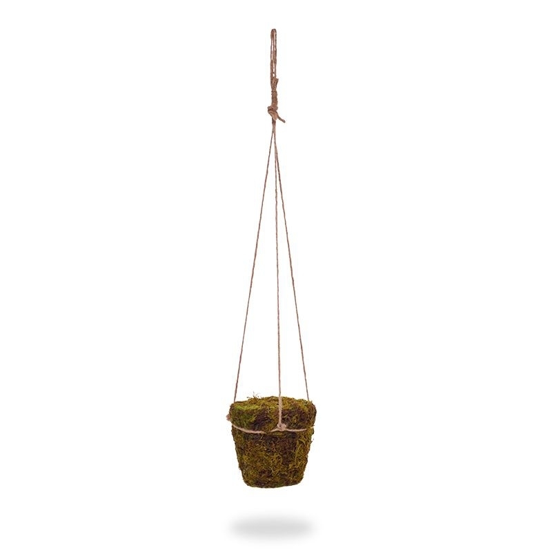 Vaso di muschio con gancio in corda di iuta 70 cm