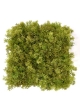 Tappeto artificiale in muschio di renna 25x25 cm verde-marrone