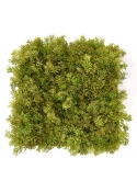 Tappeto artificiale in muschio di renna 25x25 cm verde-marrone