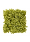 Tappetino artificiale in muschio di renna 25x25 cm verde fresco