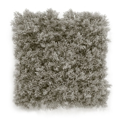 Tappeto artificiale in muschio di renna 25x25 cm grigio