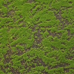 Muschio artistico da parete 100x290cm verde