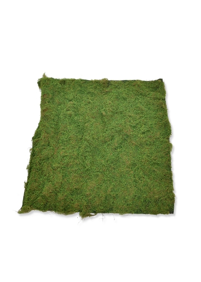 Pannello di muschio artificiale naturale 100x100 cm