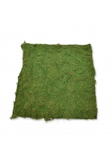 Pannello di muschio artificiale naturale 100x100 cm