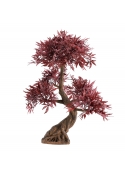 Bonsai Acer Giapponese Deluxe Artificiale 100cm Borgogna