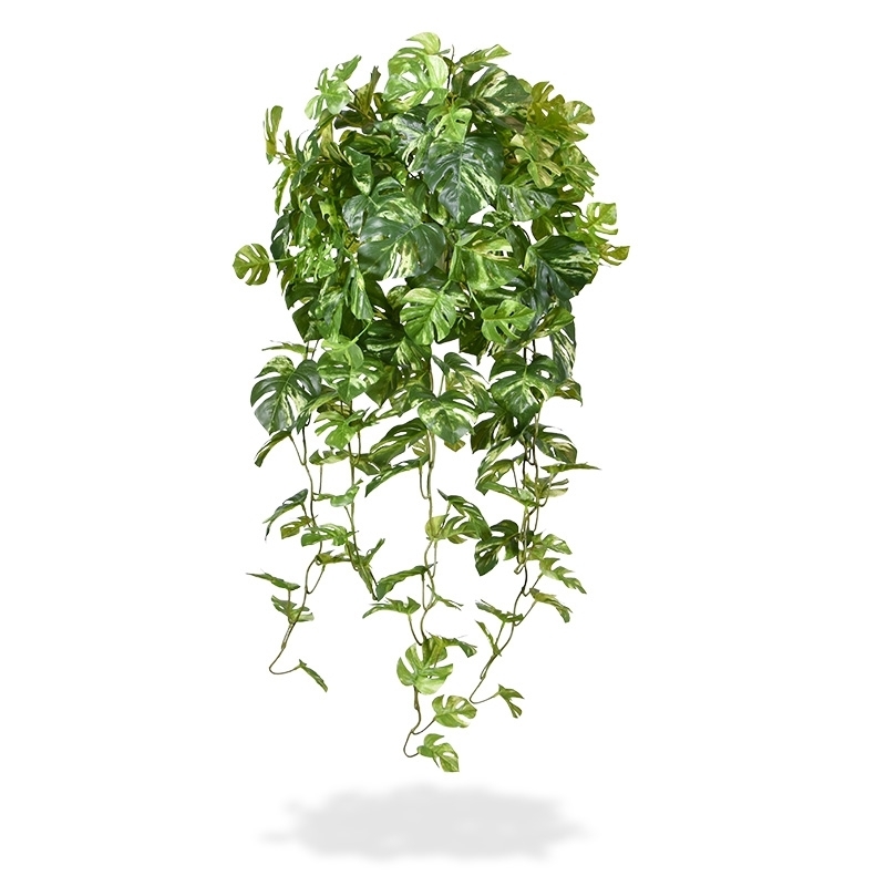Monstera artificiale ricadente 80 cm variegata