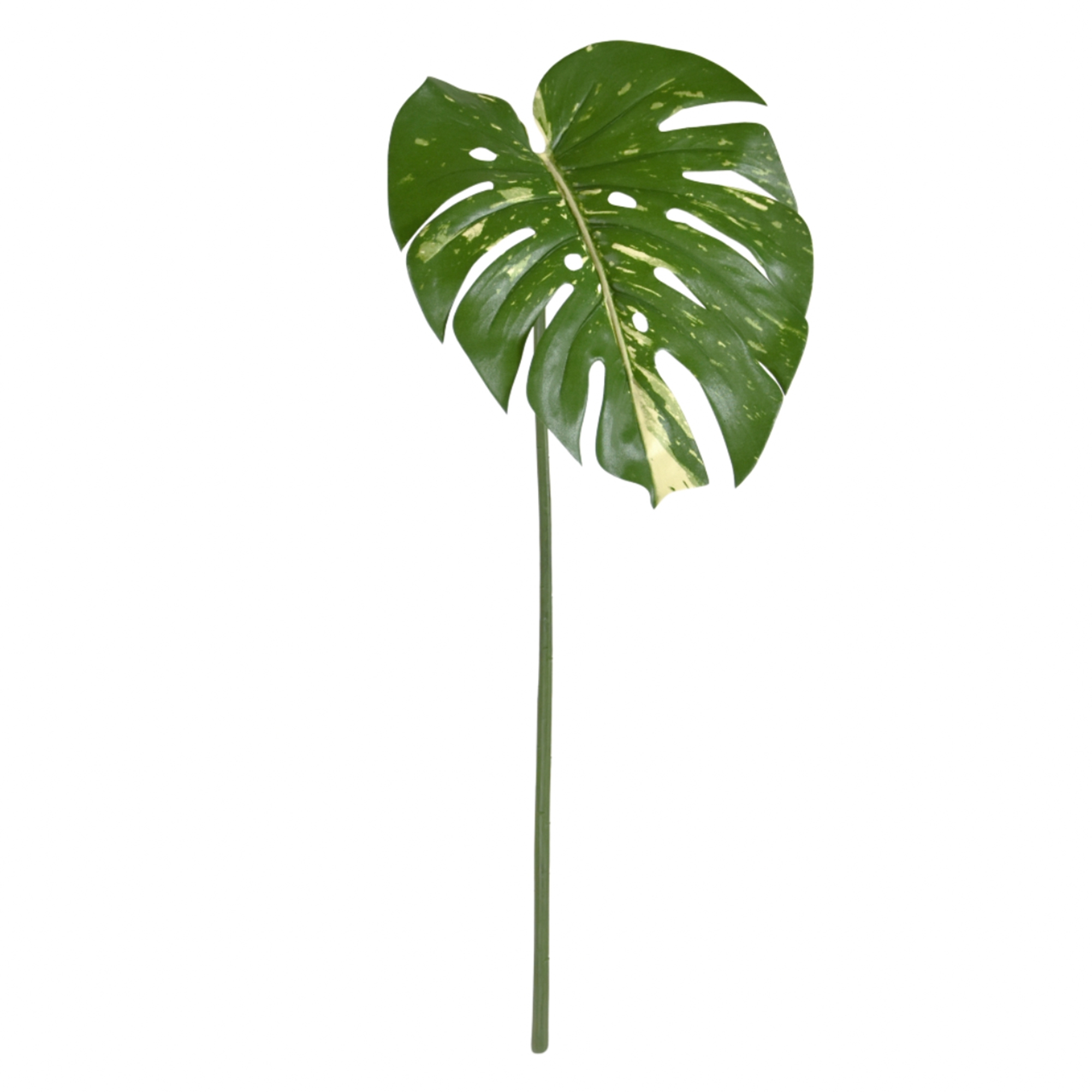 Ramo artificiale di Monstera 65 cm varigato