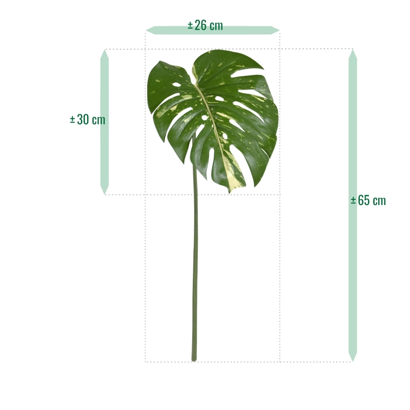 Ramo artificiale di Monstera 65 cm varigato