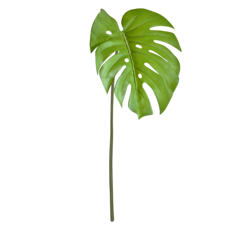 Monstera Foglia 65cm verde