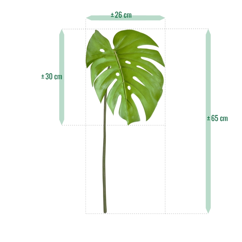 Monstera Foglia 65cm verde