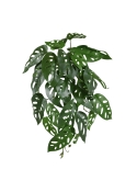 Monstera Adansonii Pianta artificiale da parete 35 cm