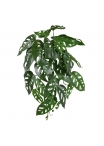 Monstera Adansonii Pianta artificiale da parete 35 cm