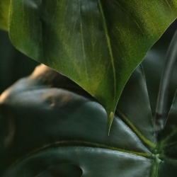Ghirlanda d'arte Monstera XL 180cm