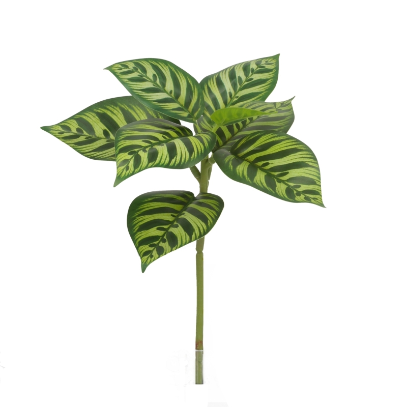 Calathea Makoyana Artificiale 25cm variegata