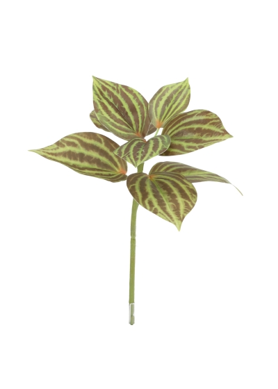 Peperomia Artificiale Verde/Marrone 25cm