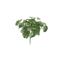 Pianta Stephania Erecta Artificiale 23cm