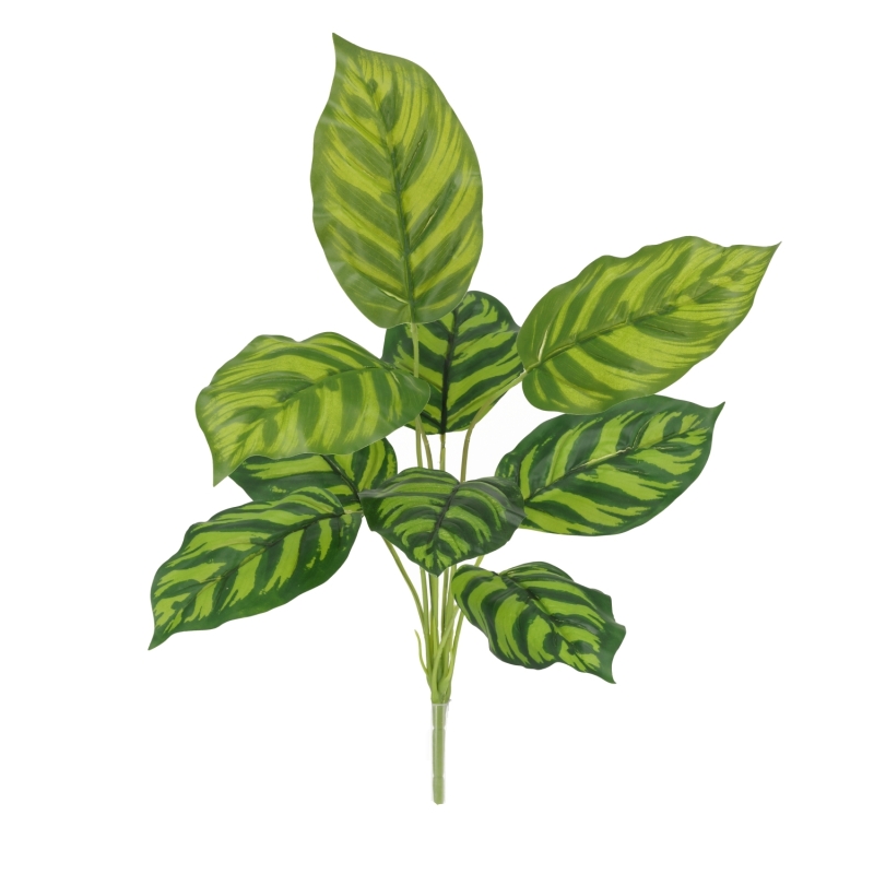 Calathea Maranta Artificiale 40cm
