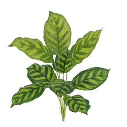 Calathea Maranta Artificiale 40cm