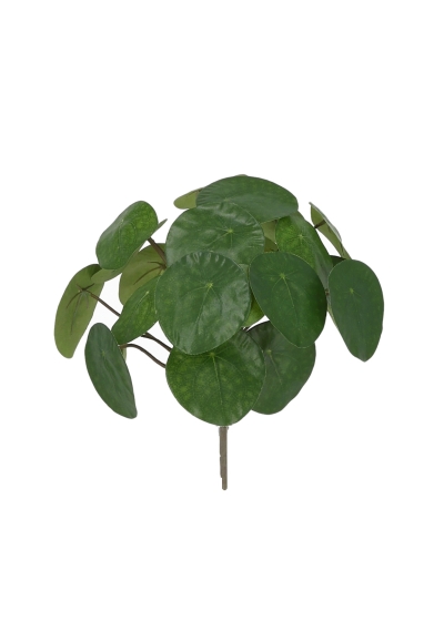 Pianta Pancake Artificiale 30cm