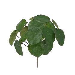 Pianta Pancake Artificiale 30cm