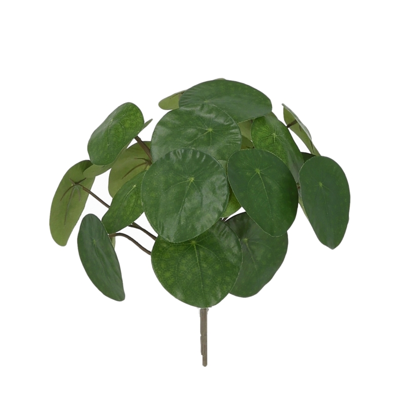 Pianta Pancake Artificiale 30cm