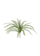 Felce artificiale Asplenium 50cm